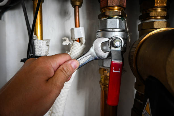 Best Local Plumber Services  in Green Island, NY